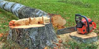 Best Tree Risk Assessment  in Keedysville, MD